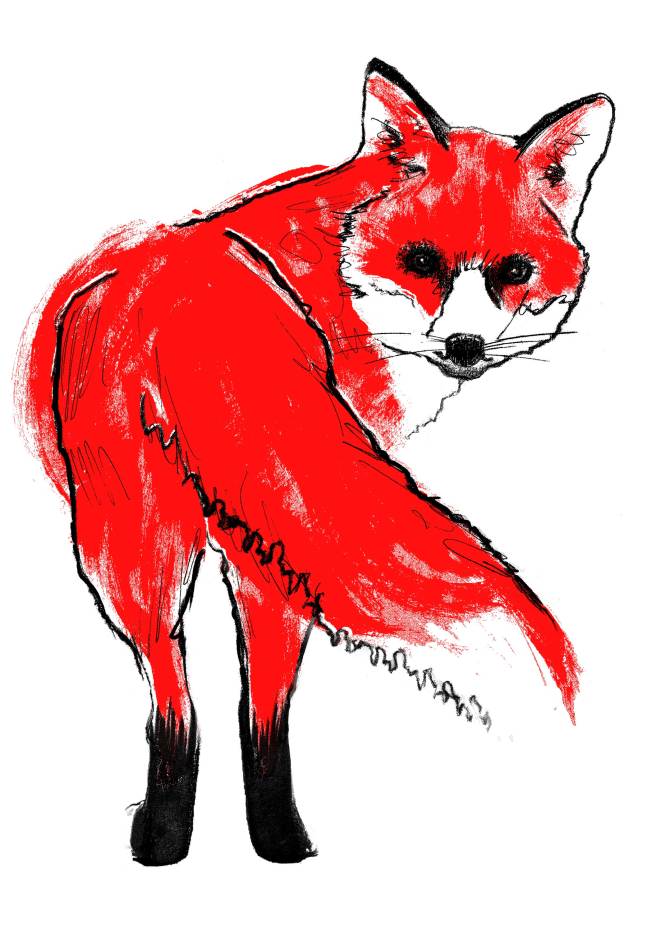Tiff-Howick-red-fox-I-screenprint